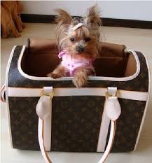 louis vuitton dog bag