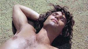 clash of the titans harry hamlin