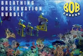 breathing observation bubble