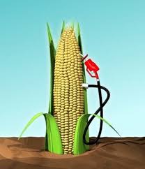 biodiesel energy