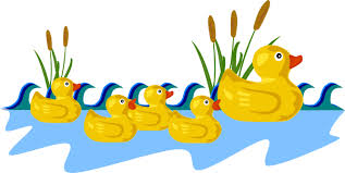 rubber ducks
