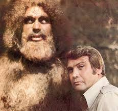 steve austin six million dollar man
