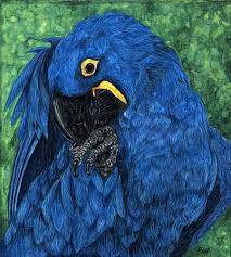 blue jewel