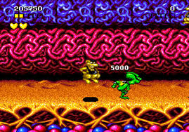 battletoads nintendo