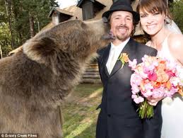 casey anderson bear pictures