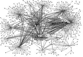 social systems