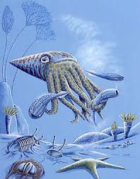 ordovician period