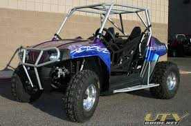 2009 rzr