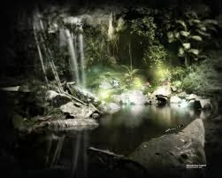 forest desktop backgrounds
