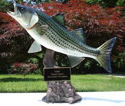 fish video