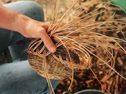 cherokee basketry