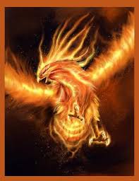 le feu