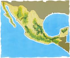 Ver imagen en tamaño completo
