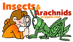 printables for pretend store