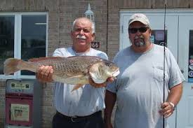 croaker
