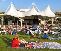 the woodlands