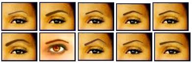 brow shapes