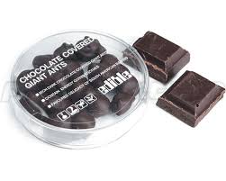 chocolate covered insects
