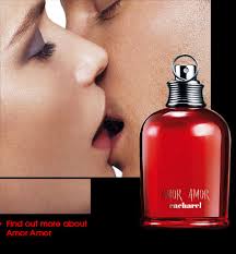 amor de cacharel