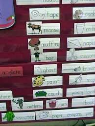nonfiction raccoon printables