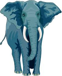 picture of elephant