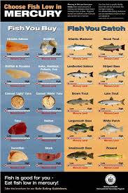 seafood poster