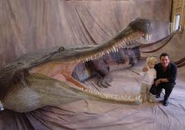 les croco