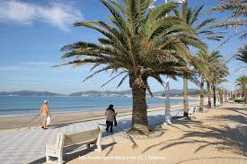 samil vigo