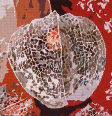chinese lantern seeds