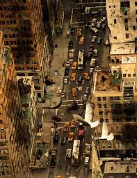 the world without humans
