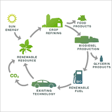biodiesel energy