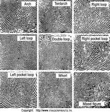 types fingerprints
