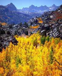 bishop ca