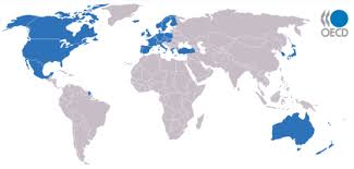 tim oecd