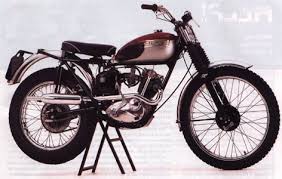 tiger cub triumph