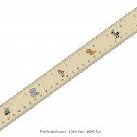 12 inch ruler