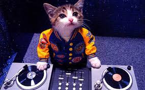 dj heroes
