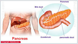 treating pancreatitis