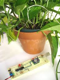 plant moisture detector