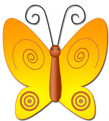 cute butterfly pictures