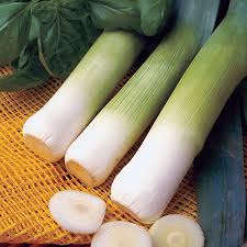 leek seeds