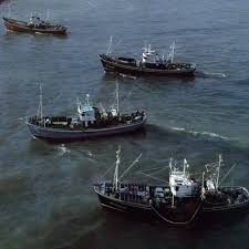 pesqueros