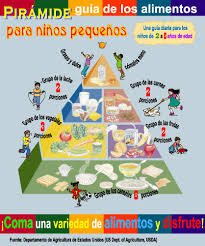 la piramide alimentaria