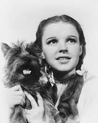 judy garland