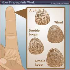 types fingerprints