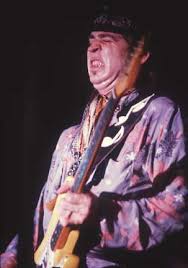Stevie Ray Vaughan - Stevie Ray Vaughn