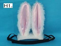 dog bunny ears