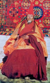 chagdud tulku rinpoche