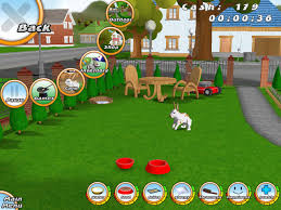 rabbits pets