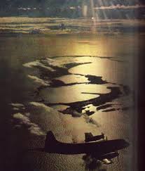 bermuda triangle book